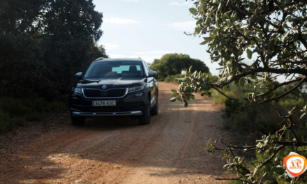 Al volante del Skoda Kodiaq Scout 4×4 2018