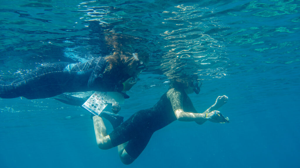 OMODA & JAECOO y la UICN Med impulsan la protección de las praderas de Posidonia en Cabo de Gata